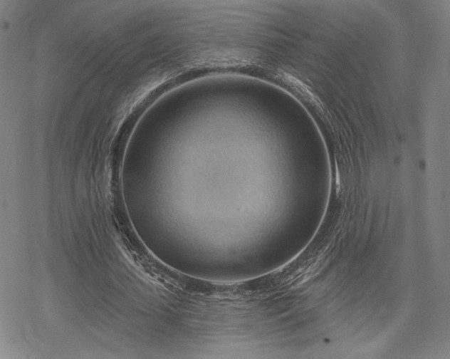 X0000068820627200605051211