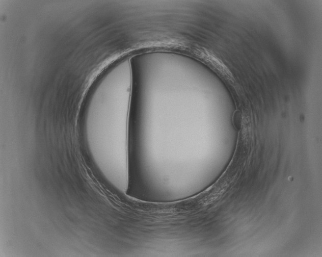 X0000068820628200605051211