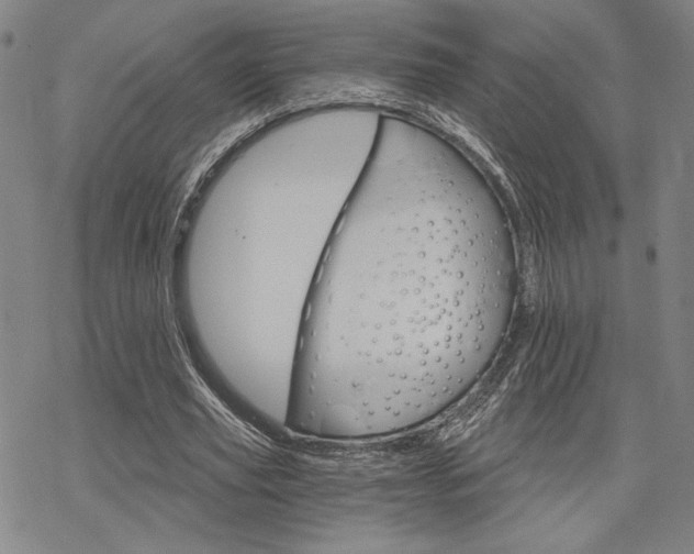 X0000068820629200605051211