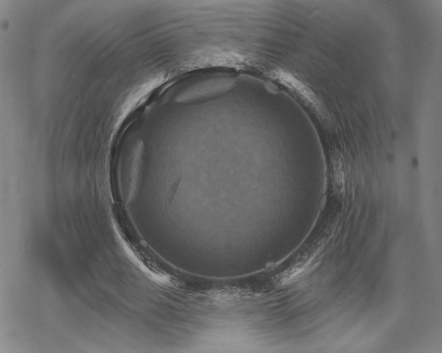 X0000068820630200605051211