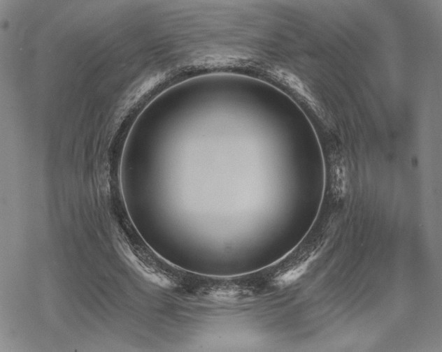 X0000068820631200605051211