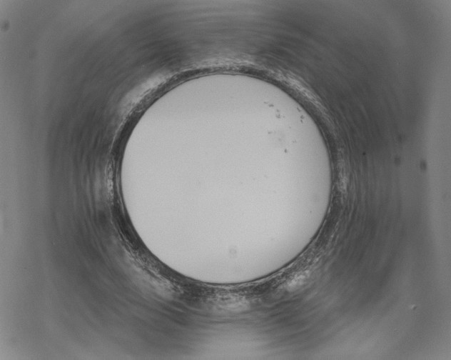 X0000068820632200605051211