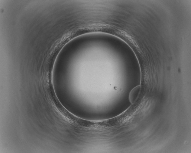 X0000068820633200605051211