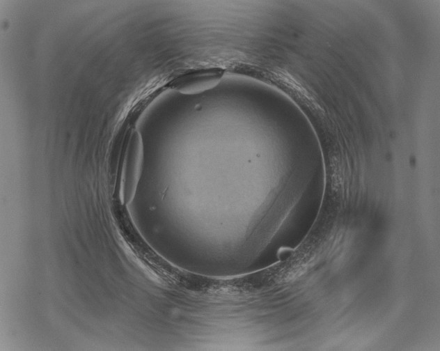 X0000068820634200605051211