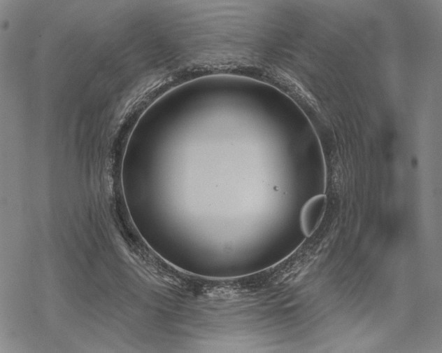 X0000068820635200605051211