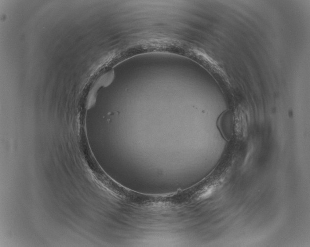 X0000068820637200605051211