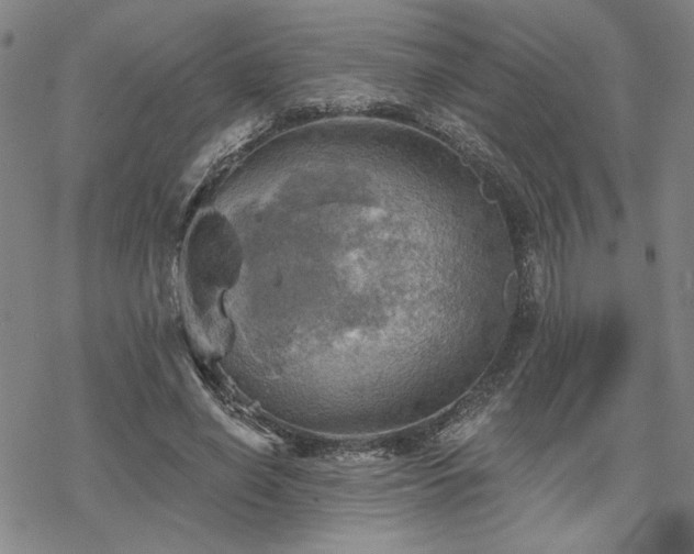 X0000068820638200605051211