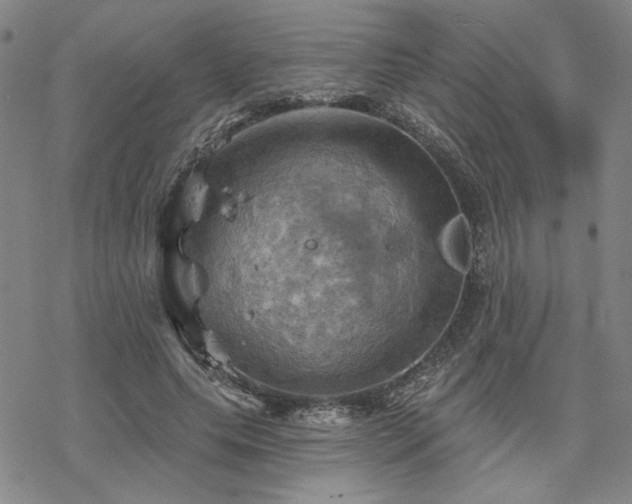 X0000068820639200605051212