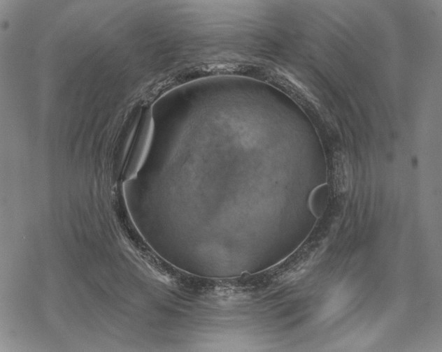 X0000068820641200605051212