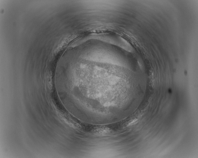 X0000068820642200605051212