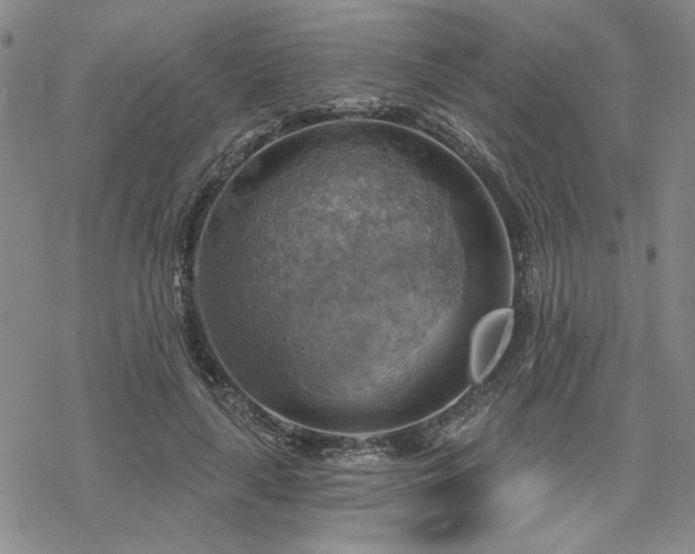 X0000068820643200605051212