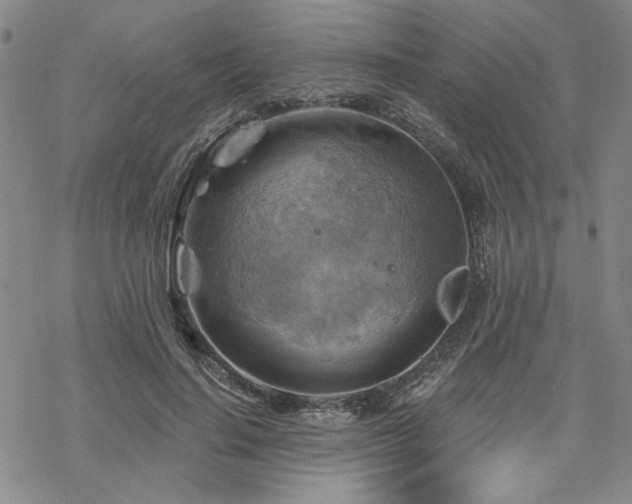 X0000068820644200605051212