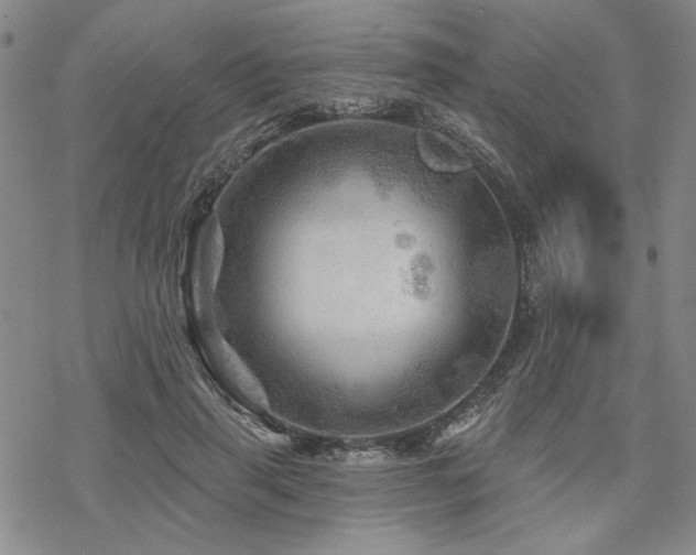 X0000068820645200605051212