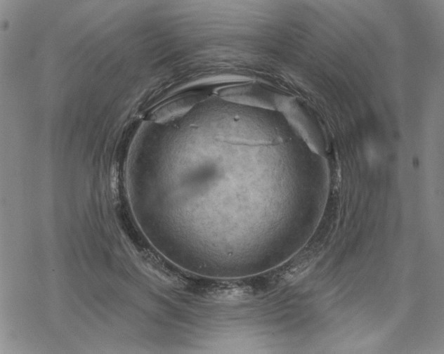 X0000068820646200605051212