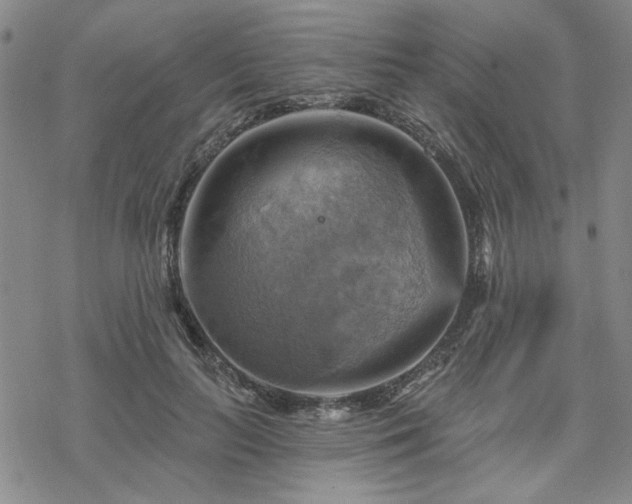 X0000068820647200605051212