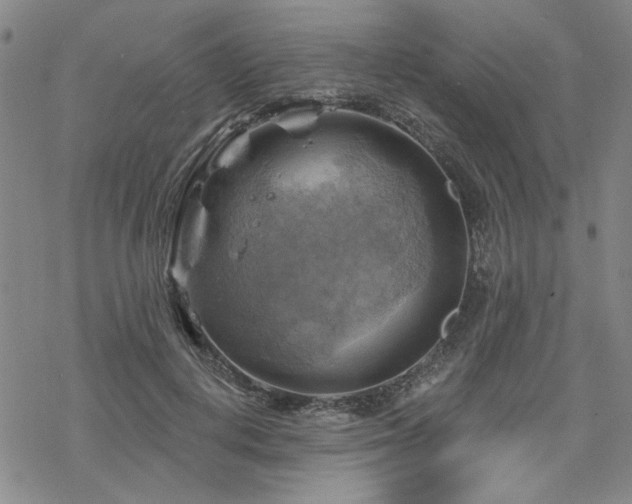 X0000068820648200605051212