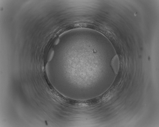 X0000068820649200605051212