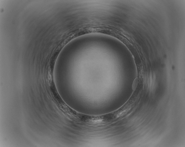 X0000068820651200605051212