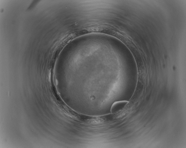 X0000068820652200605051212