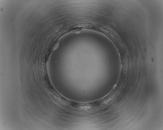 X0000068820653200605051212