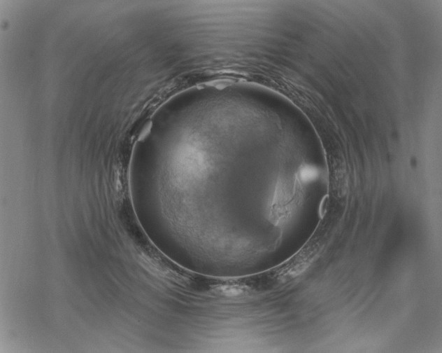 X0000068820654200605051212