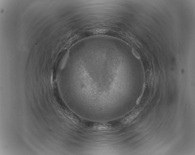 X0000068820655200605051212