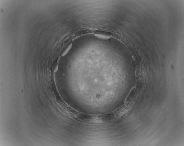 X0000068820656200605051212