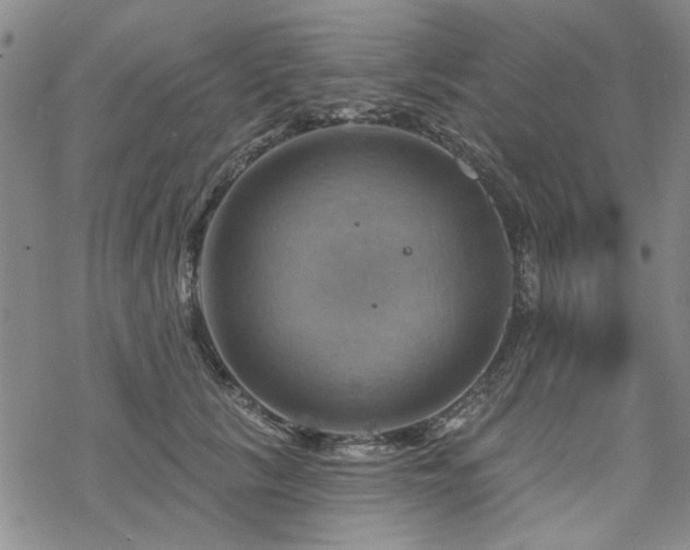 X0000068820657200605051212