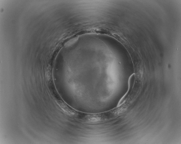 X0000068820658200605051212