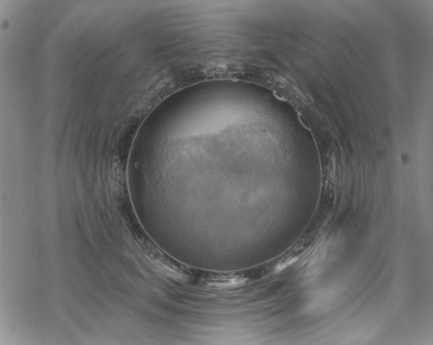 X0000068820659200605051212