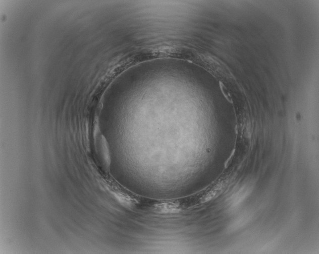 X0000068820660200605051212