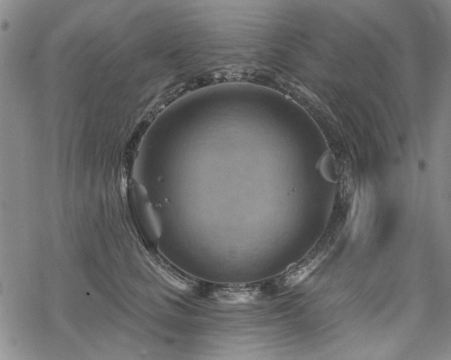 X0000068820661200605051212