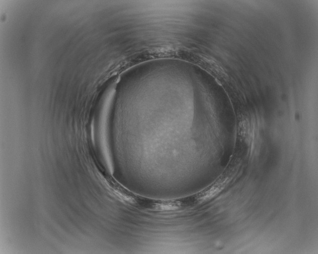 X0000068820662200605051212