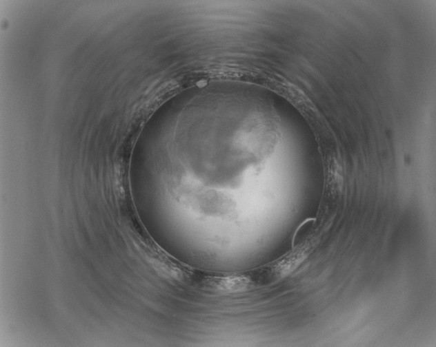 X0000068820663200605051212