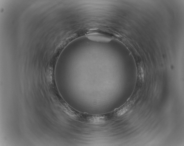 X0000068820664200605051212