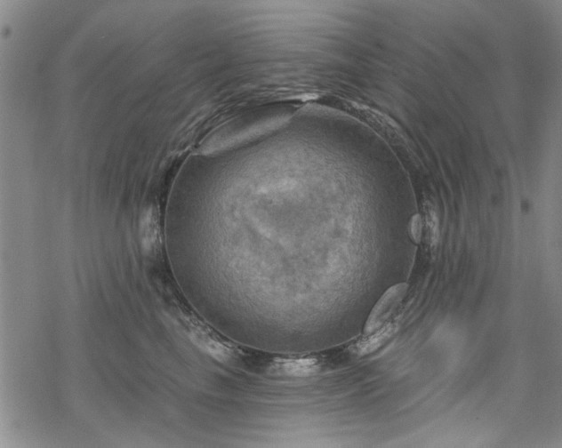 X0000068820665200605051212