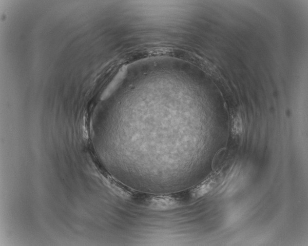 X0000068820666200605051212