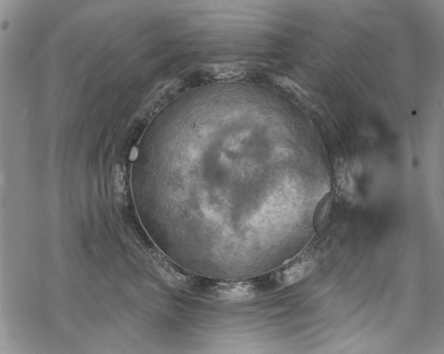 X0000068820667200605051212