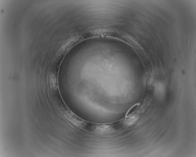 X0000068820669200605051212