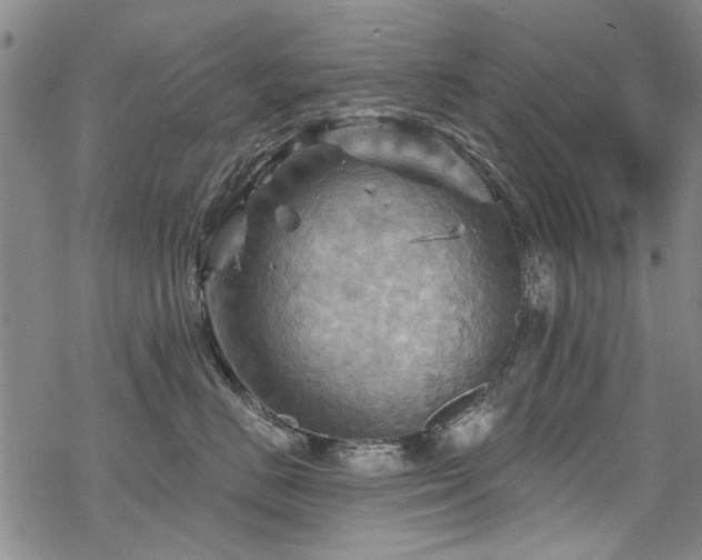 X0000068820670200605051212