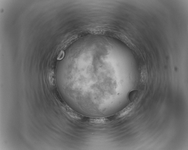 X0000068820671200605051212