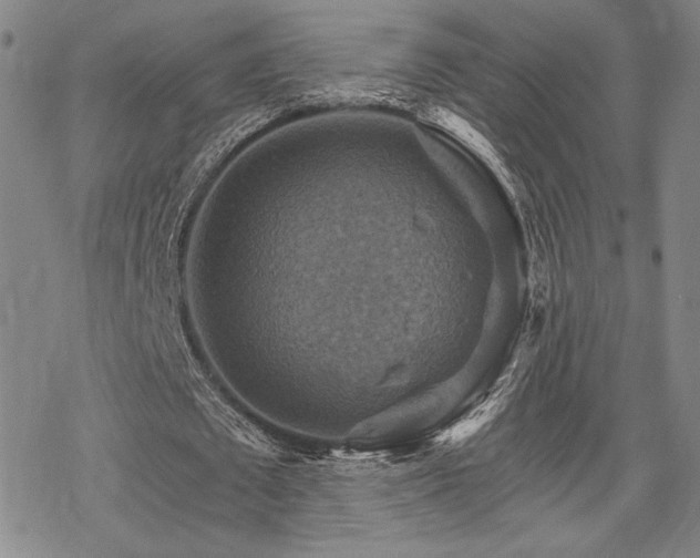 X0000068820673200605051211