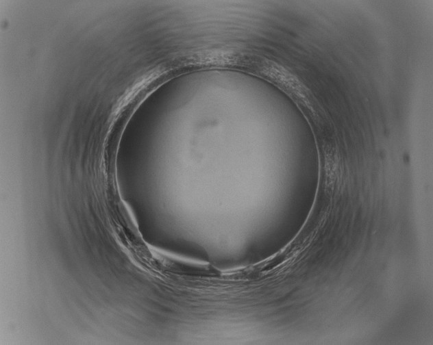 X0000068820674200605051211