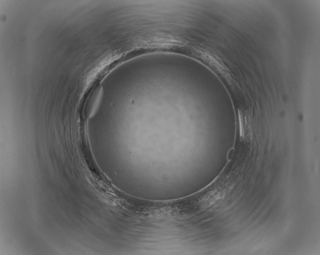 X0000068820675200605051211