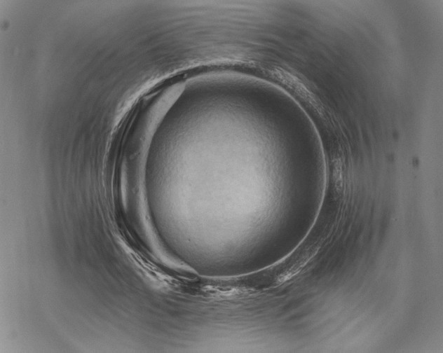 X0000068820676200605051211