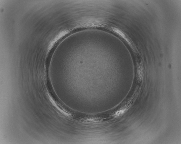 X0000068820677200605051211