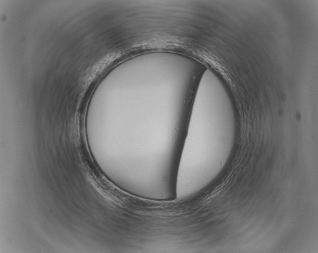 X0000068820678200605051211