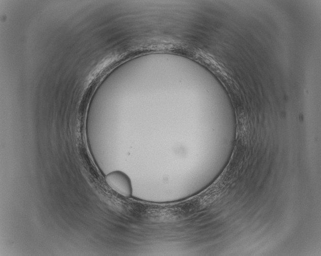 X0000068820679200605051211