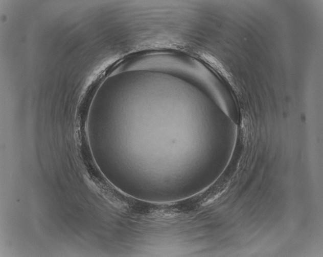 X0000068820680200605051211