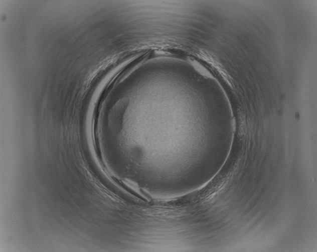 X0000068820681200605051211